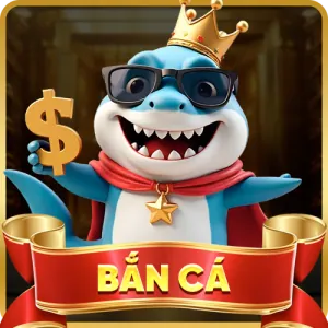 Hệ thống thanh toán nhanh chóng Banca29 Android