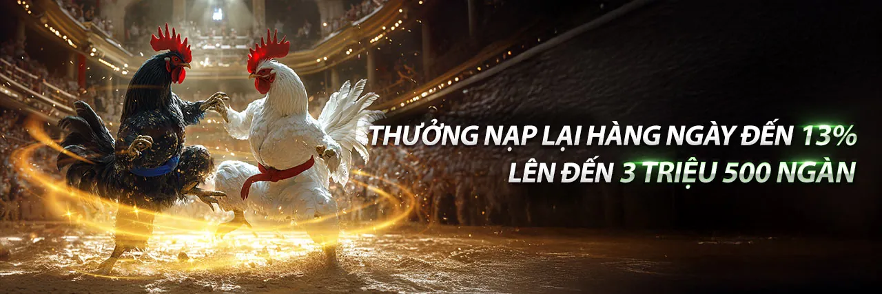 Hình ảnh chính của Banca29 Android, nền tảng giải trí bắn cá hàng đầu